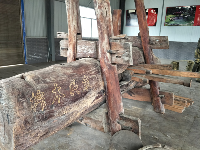 尊龙凯时,油茶莳植生产加工销售,植物油莳植生产加工销售