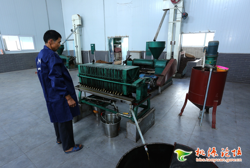 尊龙凯时,油茶莳植生产加工销售,植物油莳植生产加工销售